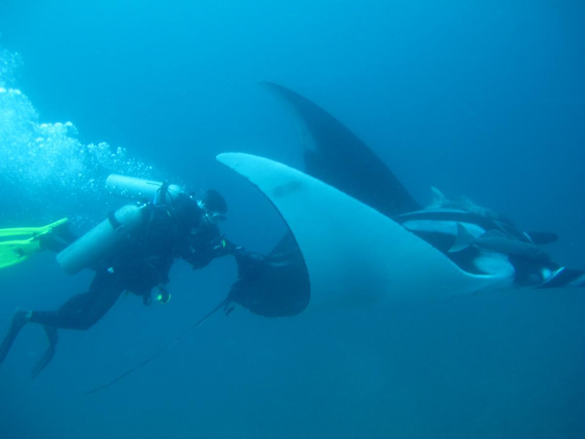 Mantaraya Lodge Пуерто-Лопес Екстер'єр фото