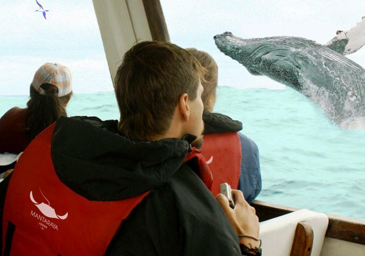 Mantaraya Lodge Пуерто-Лопес Екстер'єр фото